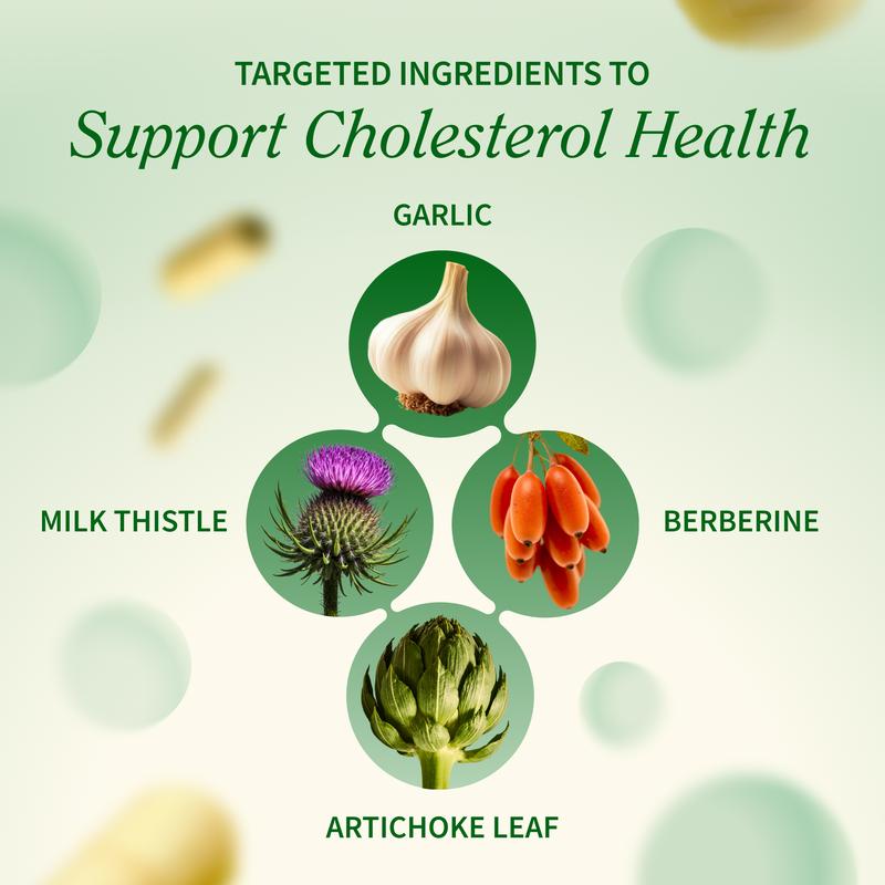 Cholesterol Health Support Supplement - 60 Capsules