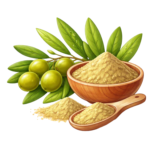 Olivenblatt