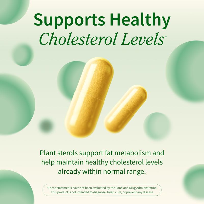 Cholesterol Health Support Supplement - 60 Capsules