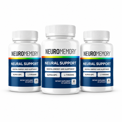 NeuroMemory Neural Support